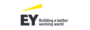 EYストラテジー・アンド・コンサルティング株式会社 | EY Japan