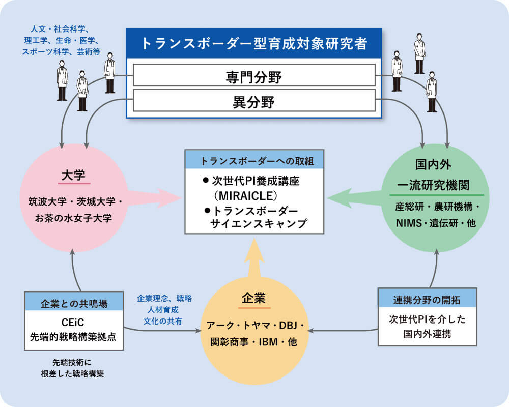トランスポーター型育成対象者研究者